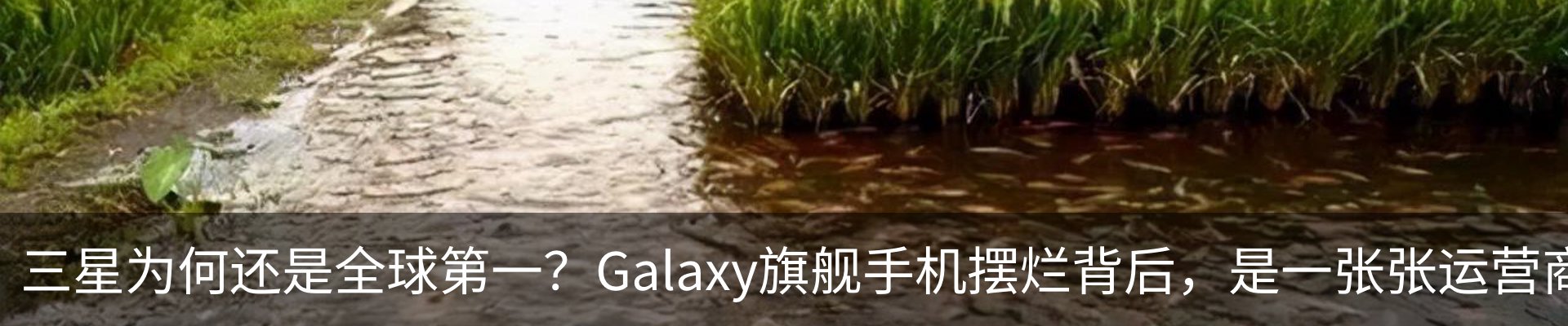行业资讯