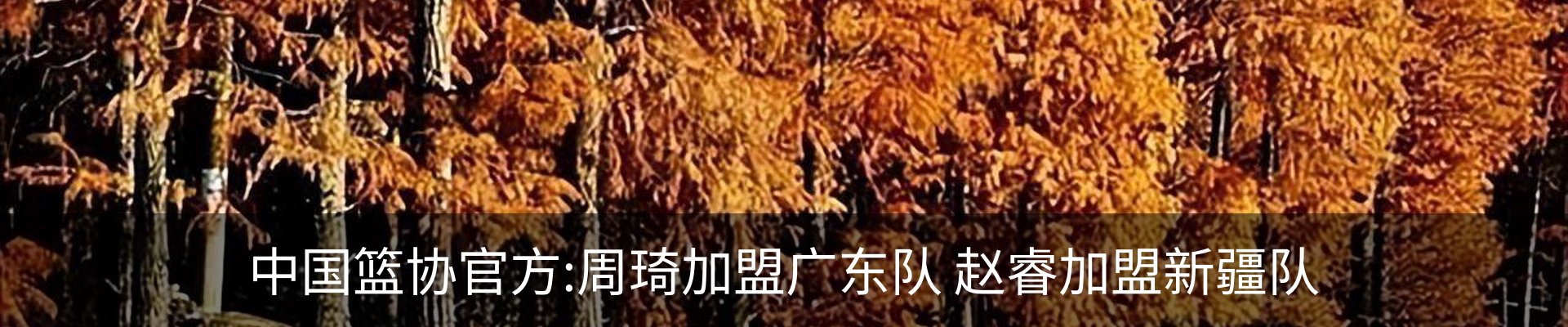 行业资讯