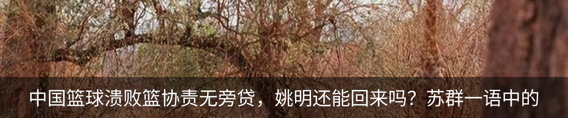 行业资讯