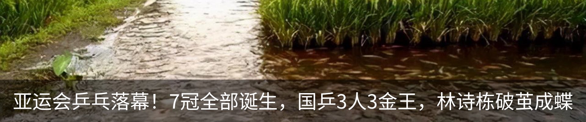 行业资讯
