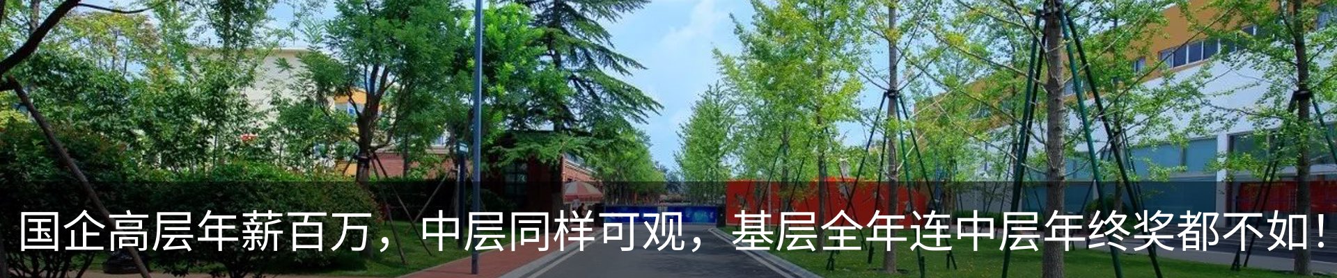 行业资讯