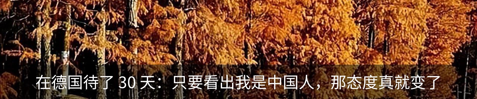 行业资讯