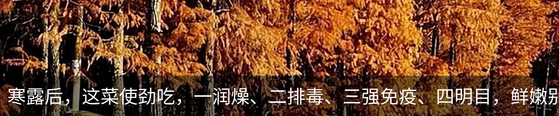行业资讯