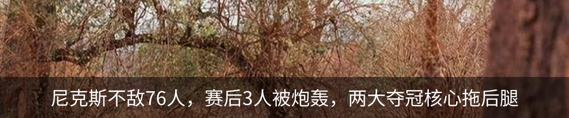 行业资讯