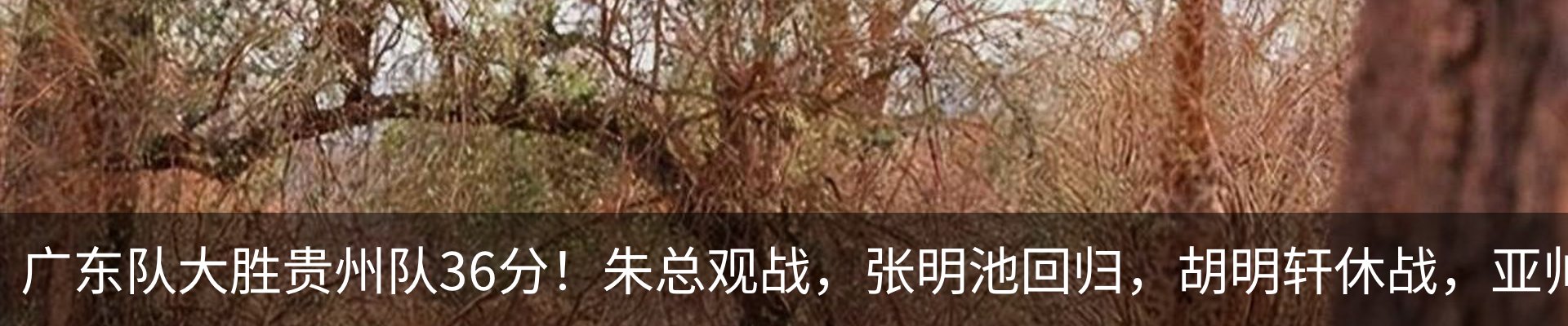 行业资讯