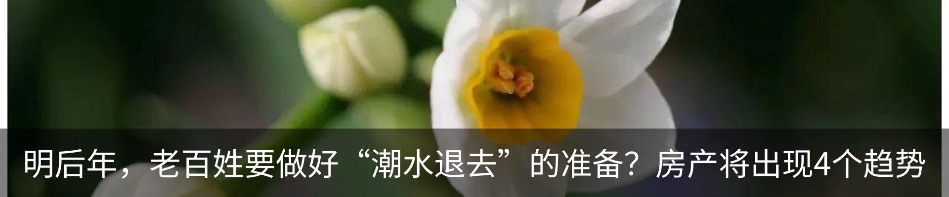 行业资讯