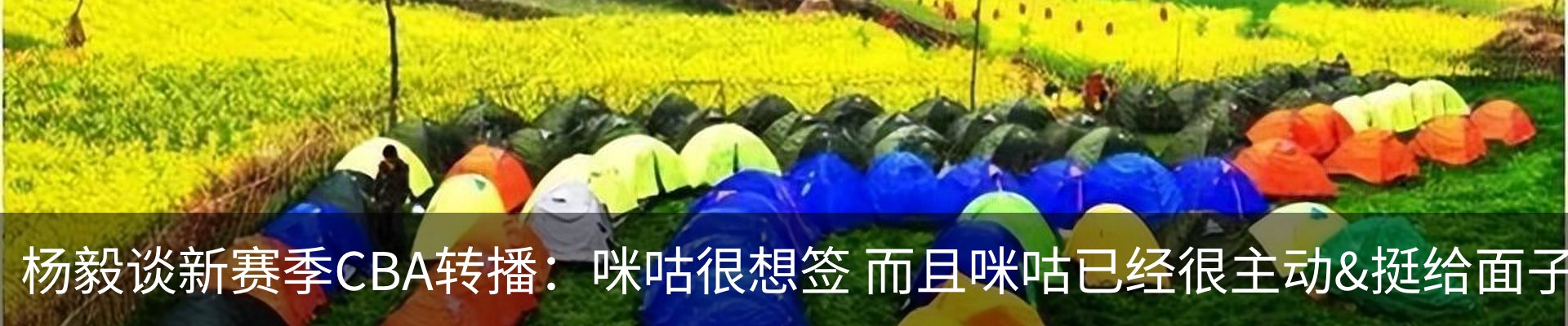 行业资讯