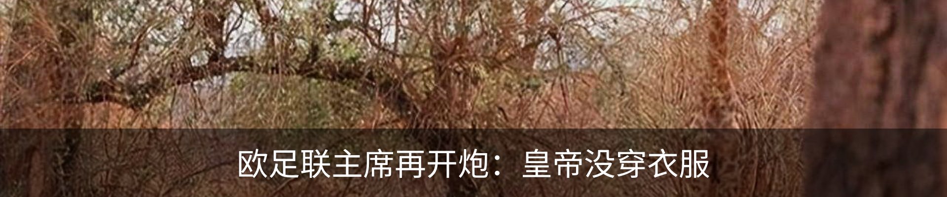 行业资讯