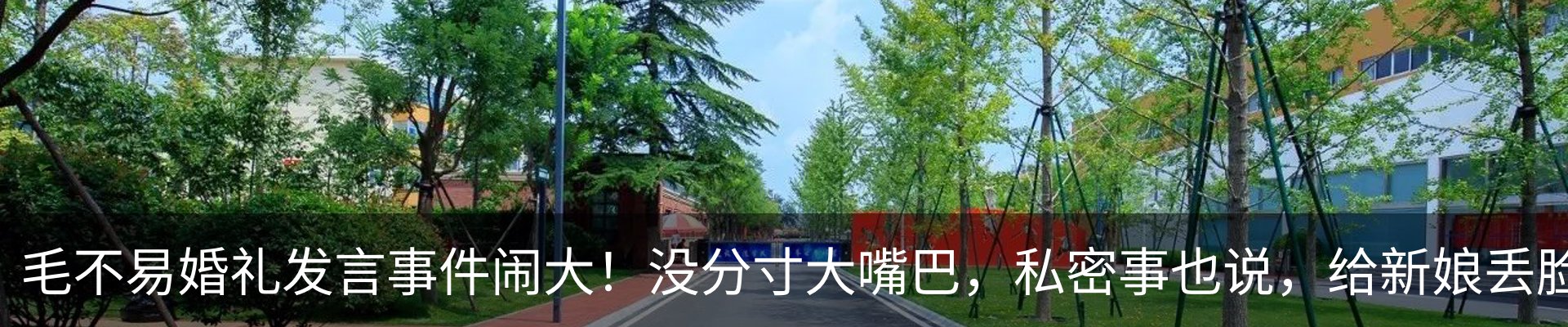 行业资讯