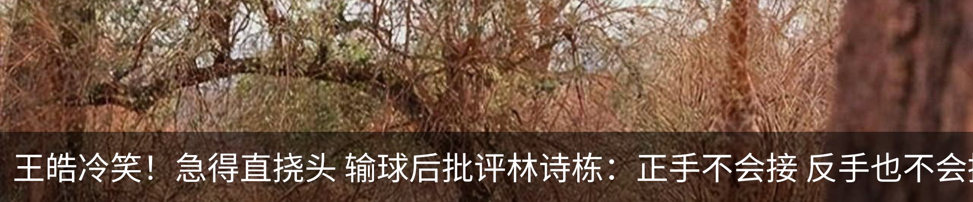 行业资讯