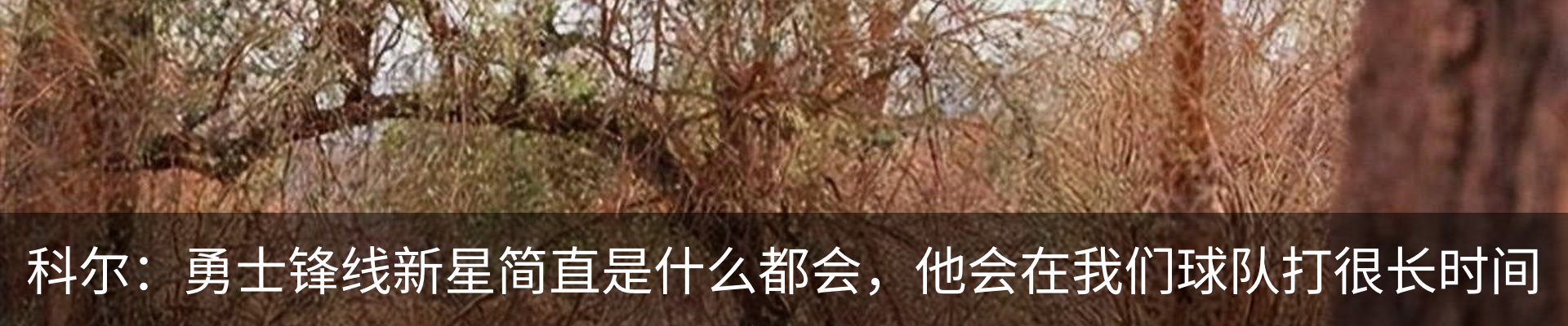 行业资讯