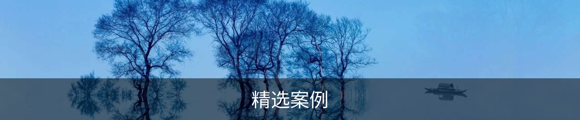 精选案例