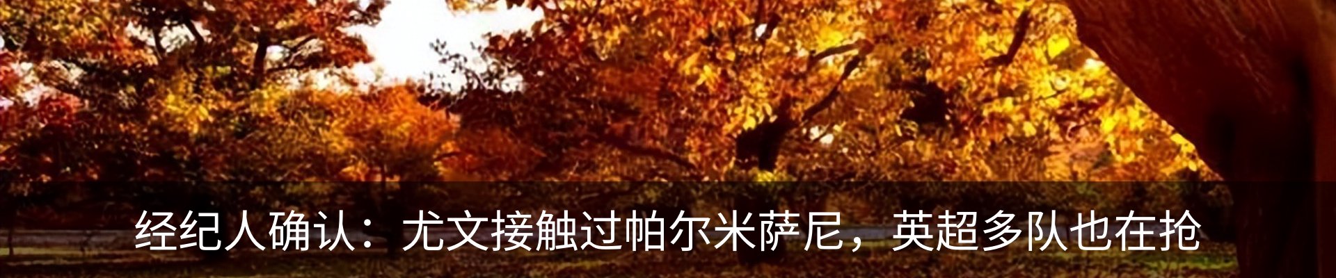 行业资讯