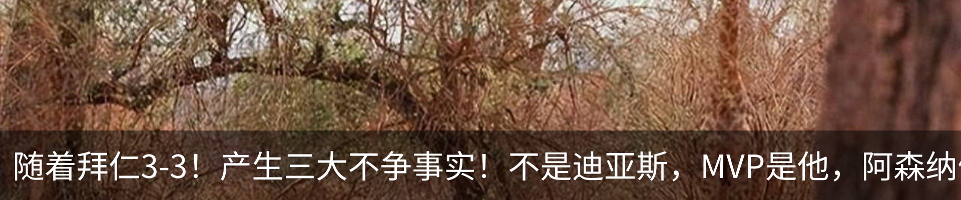 行业资讯