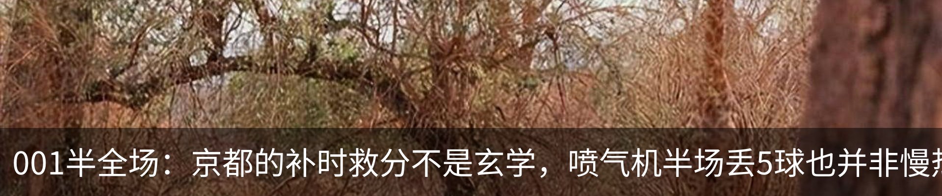 行业资讯