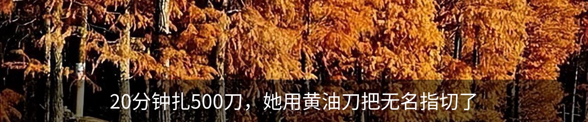 行业资讯