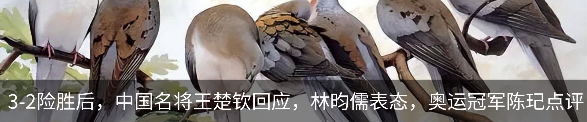 行业资讯