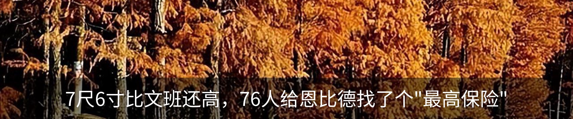 行业资讯